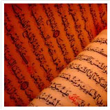 milad_sbconsultancy