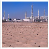 milad_sbconsultancy